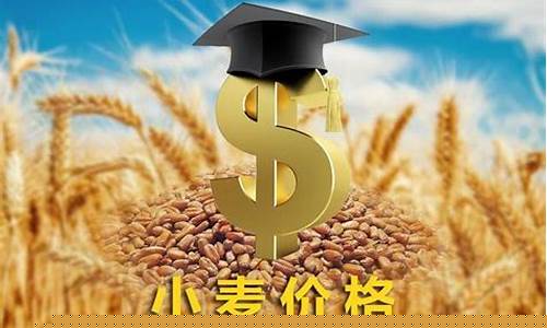 今日小麦期货价格查询最新行情(小麦期货价格行情今日大幅震荡)_https://www.erdeww.com_期货资讯_第1张