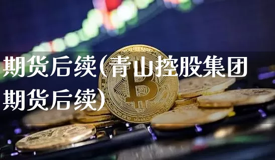 期货后续(青山控股集团期货后续)_https://www.erdeww.com_期货资讯_第1张