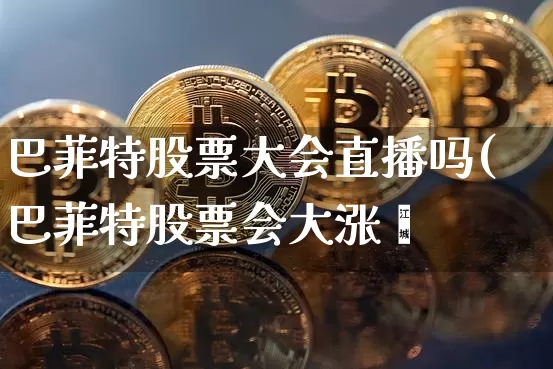 巴菲特股票大会直播吗(巴菲特股票会大涨吿_https://www.erdeww.com_期货走势_第1张