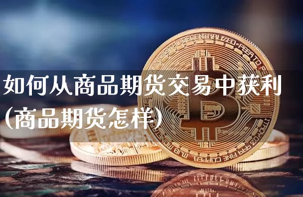 如何从商品期货交易中获利(商品期货怎样)_https://www.erdeww.com_期货走势_第1张