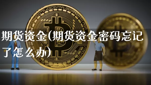 期货资金(期货资金密码忘记了怎么办)_https://www.erdeww.com_期货行情_第1张