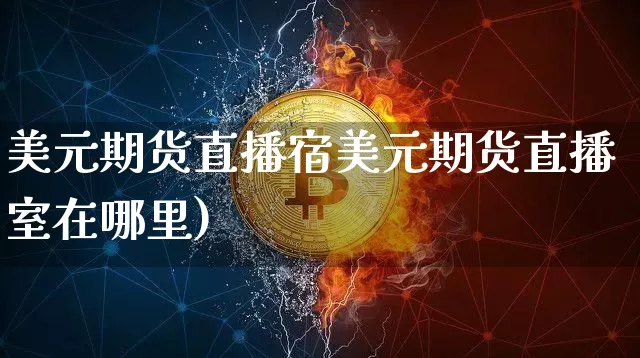 美元期货直播宿美元期货直播室在哪里)_https://www.erdeww.com_期货知识_第1张