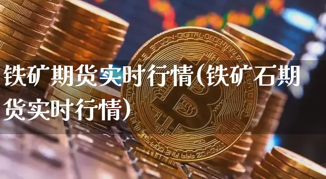 铁矿期货实时行情(铁矿石期货实时行情)_https://www.erdeww.com_期货资讯_第1张