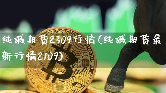 纯碱期货2309行情(纯碱期货最新行情2109)_https://www.erdeww.com_期货知识_第1张