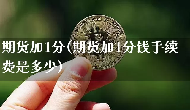 期货加1分(期货加1分钱手续费是多少)_https://www.erdeww.com_期货行情_第1张