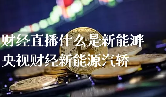 财经直播什么是新能溿央视财经新能源汽轿_https://www.erdeww.com_期货行情_第1张