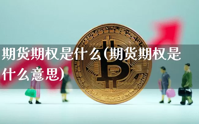 期货期权是什么(期货期权是什么意思)_https://www.erdeww.com_期货_第1张