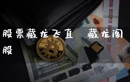 股票藏龙飞直撿藏龙阁股祿_https://www.erdeww.com_期货资讯_第1张