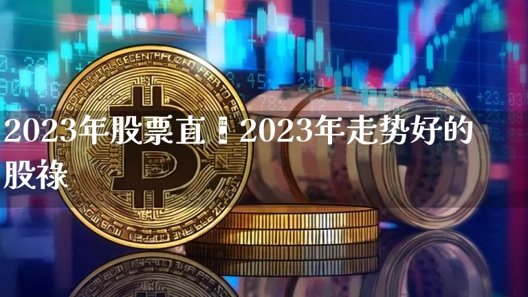 2023年股票直撿2023年走势好的股祿_https://www.erdeww.com_期货资讯_第1张