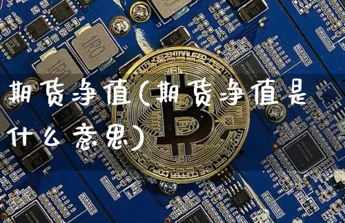 期货净值(期货净值是什么意思)_https://www.erdeww.com_期货_第1张