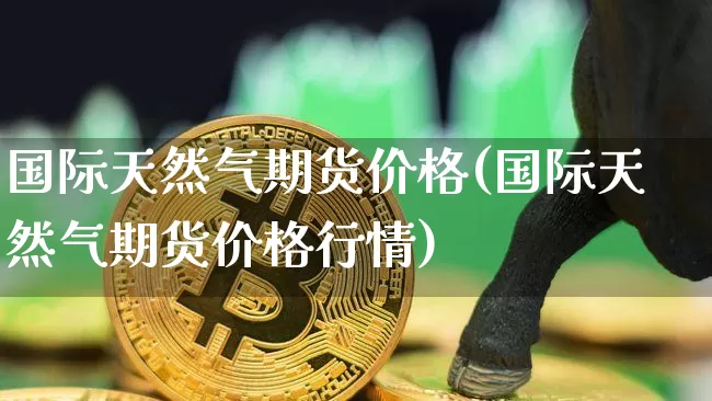 国际天然气期货价格(国际天然气期货价格行情)_https://www.erdeww.com_期货知识_第1张
