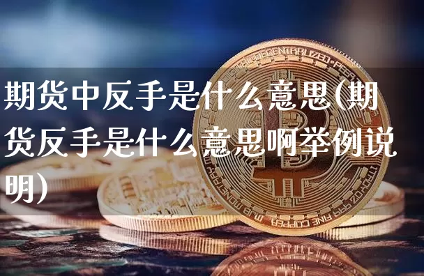 期货中反手是什么意思(期货反手是什么意思啊举例说明)_https://www.erdeww.com_期货行情_第1张