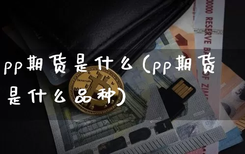 pp期货是什么(pp期货是什么品种)_https://www.erdeww.com_期货行情_第1张