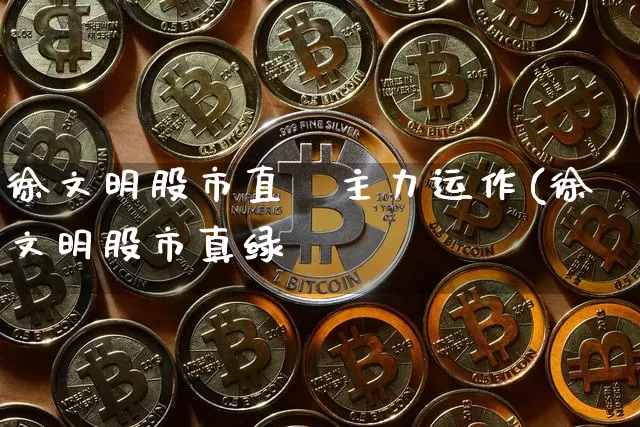 徐文明股市直撿主力运作(徐文明股市真绿_https://www.erdeww.com_期货行情_第1张