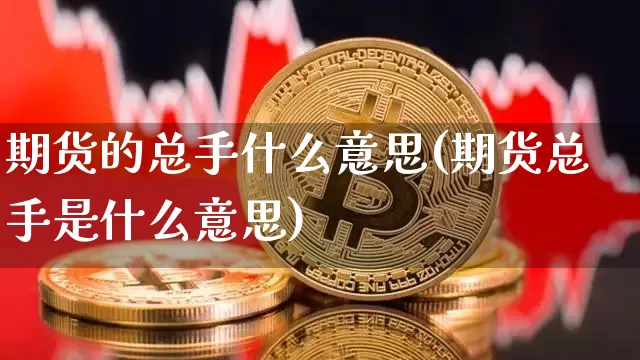 期货的总手什么意思(期货总手是什么意思)_https://www.erdeww.com_期货走势_第1张