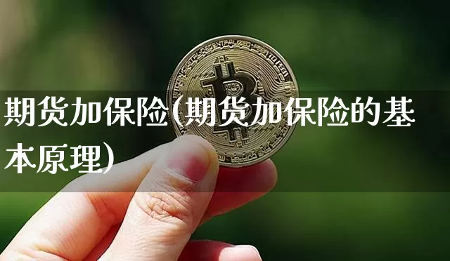 期货加保险(期货加保险的基本原理)_https://www.erdeww.com_期货行情_第1张