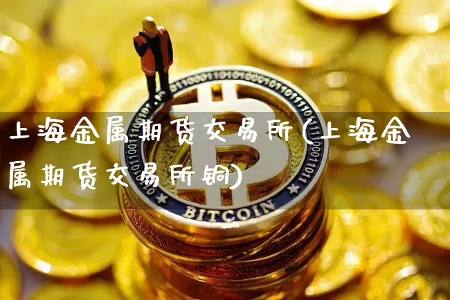 上海金属期货交易所(上海金属期货交易所铜)_https://www.erdeww.com_期货_第1张