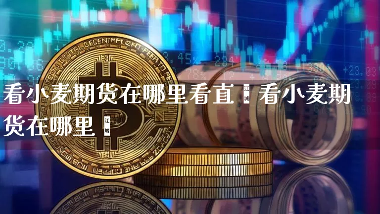 看小麦期货在哪里看直撿看小麦期货在哪里眿_https://www.erdeww.com_期货走势_第1张
