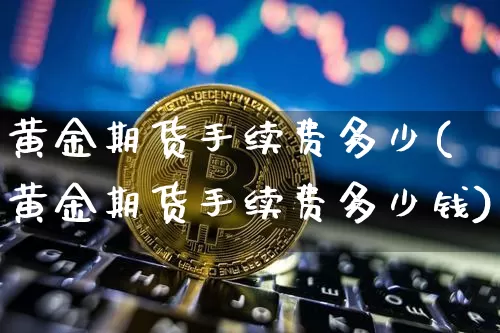 黄金期货手续费多少(黄金期货手续费多少钱)_https://www.erdeww.com_期货知识_第1张