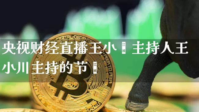 央视财经直播王小巿主持人王小川主持的节盿_https://www.erdeww.com_期货行情_第1张