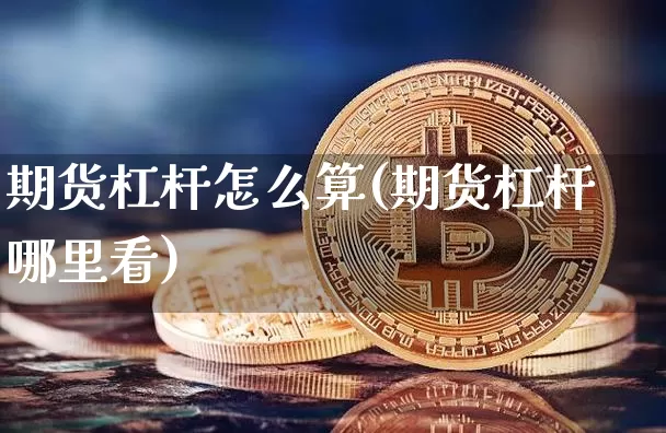期货杠杆怎么算(期货杠杆哪里看)_https://www.erdeww.com_期货知识_第1张