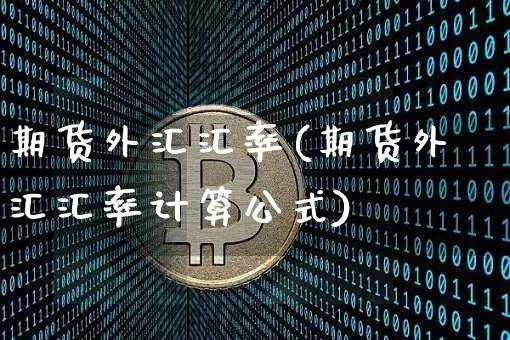 期货外汇汇率(期货外汇汇率计算公式)_https://www.erdeww.com_期货资讯_第1张