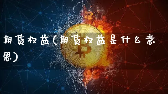 期货权益(期货权益是什么意思)_https://www.erdeww.com_期货知识_第1张