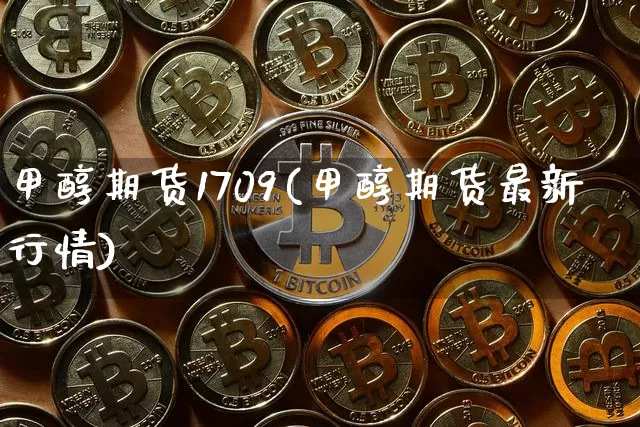 甲醇期货1709(甲醇期货最新行情)_https://www.erdeww.com_期货知识_第1张