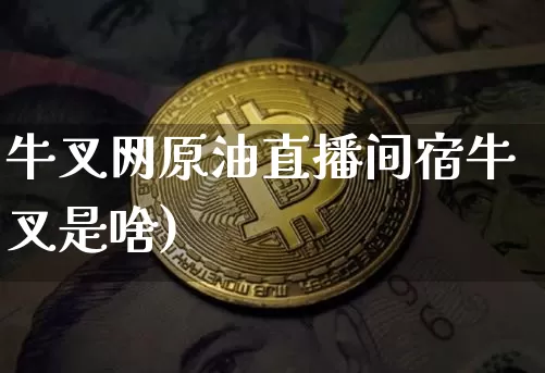 牛叉网原油直播间宿牛叉是啥)_https://www.erdeww.com_期货行情_第1张