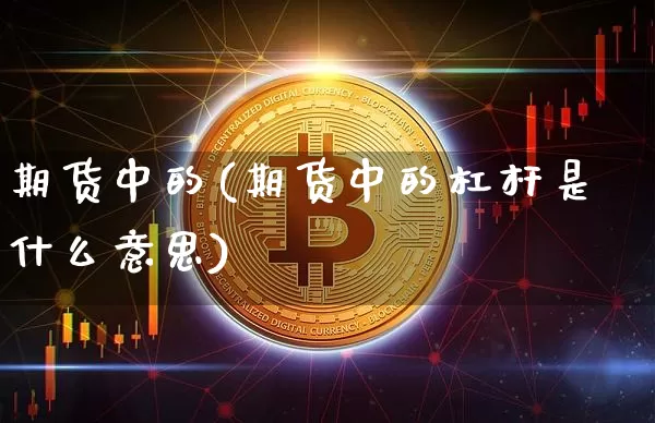 期货中的(期货中的杠杆是什么意思)_https://www.erdeww.com_期货行情_第1张