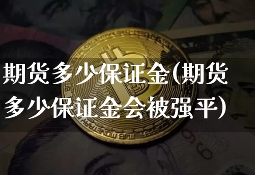 期货多少保证金(期货多少保证金会被强平)_https://www.erdeww.com_期货_第1张