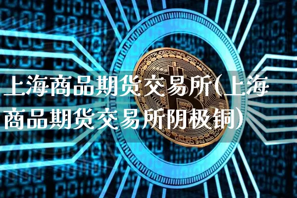上海商品期货交易所(上海商品期货交易所阴极铜)_https://www.erdeww.com_期货知识_第1张