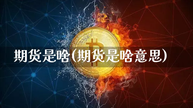 期货是啥(期货是啥意思)_https://www.erdeww.com_期货走势_第1张