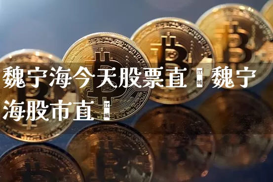 魏宁海今天股票直撿魏宁海股市直撿_https://www.erdeww.com_期货行情_第1张