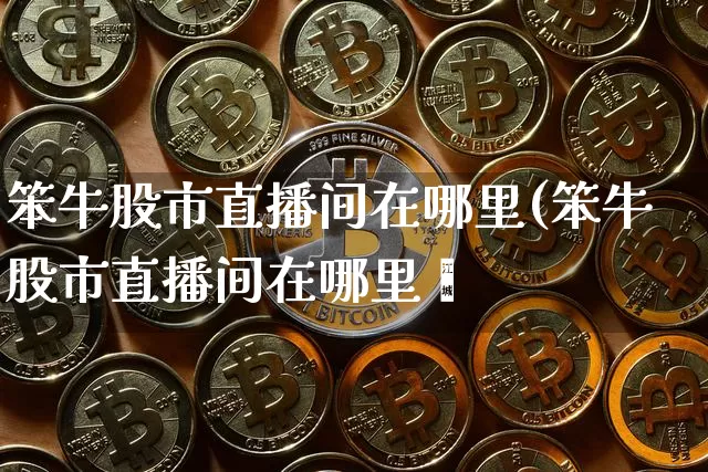 笨牛股市直播间在哪里(笨牛股市直播间在哪里眿_https://www.erdeww.com_期货资讯_第1张