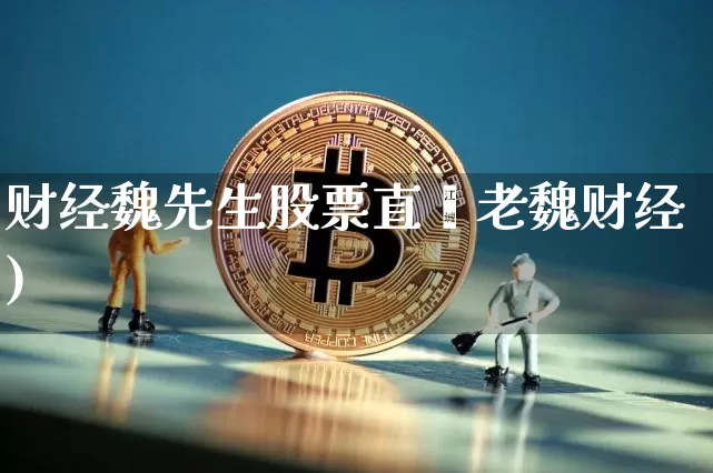 财经魏先生股票直撿老魏财经)_https://www.erdeww.com_期货行情_第1张