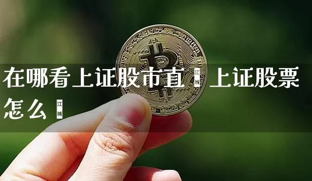 在哪看上证股市直撿上证股票怎么眿_https://www.erdeww.com_期货资讯_第1张