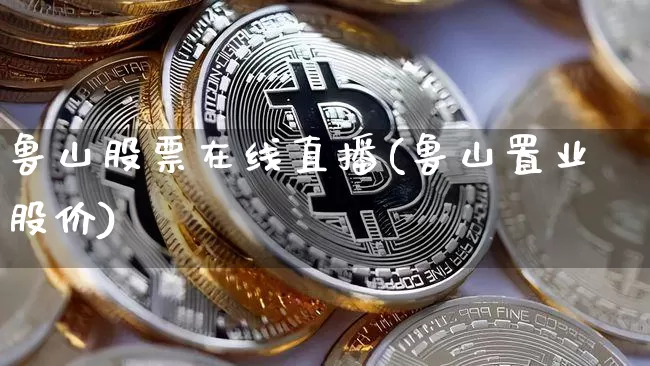 鲁山股票在线直播(鲁山置业股价)_https://www.erdeww.com_期货行情_第1张