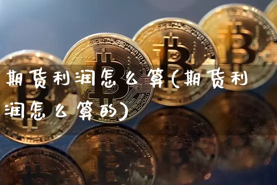 期货利润怎么算(期货利润怎么算的)_https://www.erdeww.com_期货_第1张