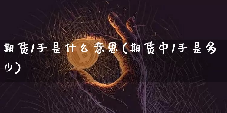 期货1手是什么意思(期货中1手是多少)_https://www.erdeww.com_期货知识_第1张