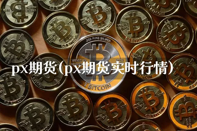 px期货(px期货实时行情)_https://www.erdeww.com_期货_第1张