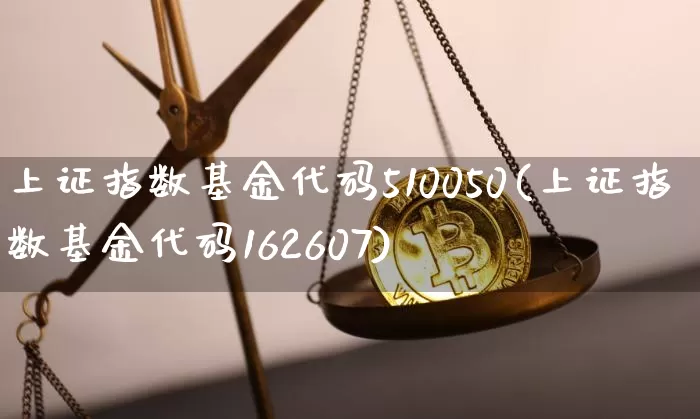 上证指数基金代码510050(上证指数基金代码162607)_https://www.erdeww.com_期货_第1张