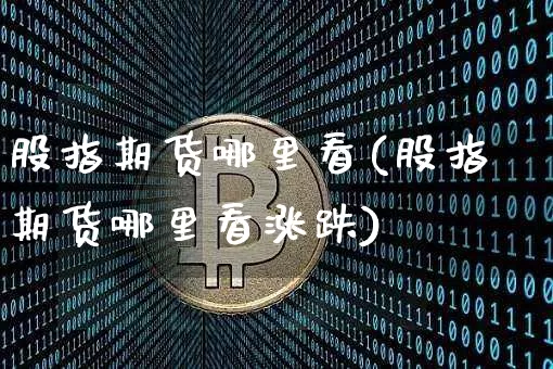 股指期货哪里看(股指期货哪里看涨跌)_https://www.erdeww.com_期货资讯_第1张