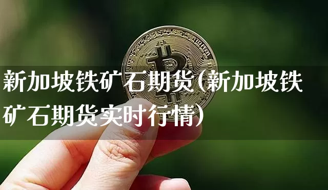 新加坡铁矿石期货(新加坡铁矿石期货实时行情)_https://www.erdeww.com_期货知识_第1张