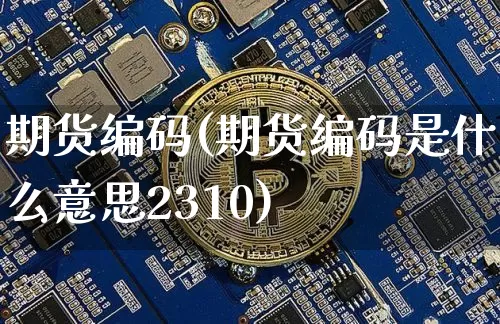 期货编码(期货编码是什么意思2310)_https://www.erdeww.com_期货知识_第1张