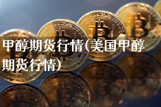 甲醇期货行情(美国甲醇期货行情)_https://www.erdeww.com_期货行情_第1张