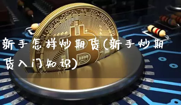 新手怎样炒期货(新手炒期货入门知识)_https://www.erdeww.com_期货知识_第1张