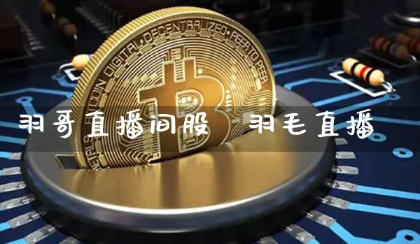 羽哥直播间股祿羽毛直播闿_https://www.erdeww.com_期货知识_第1张