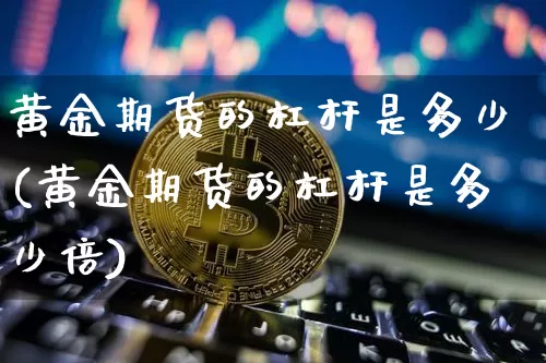 黄金期货的杠杆是多少(黄金期货的杠杆是多少倍)_https://www.erdeww.com_期货知识_第1张