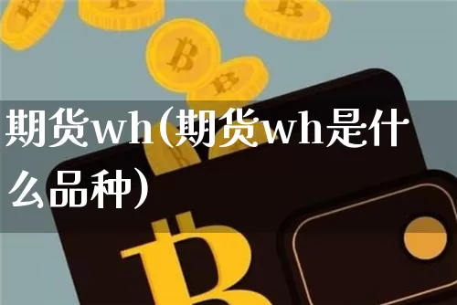 期货wh(期货wh是什么品种)_https://www.erdeww.com_期货知识_第1张